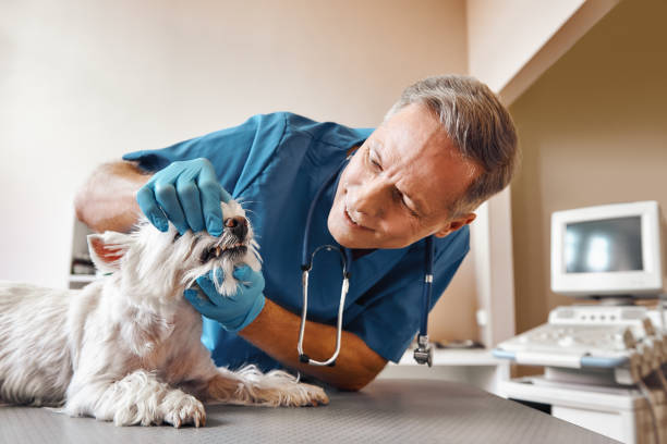  Thibodaux, LA Emergency Dentist Pros